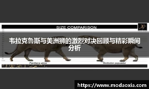 韦拉克鲁斯与美洲狮的激烈对决回顾与精彩瞬间分析